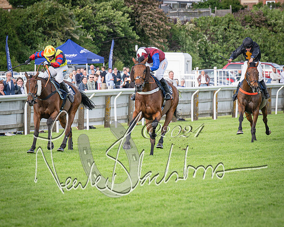 Race 2 - Olly Murphy Racing Stratford Ladies Open (84 of 111)