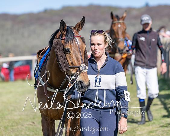Race 5 - The restricted (13 of 113)