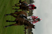 Mares Maiden -  5