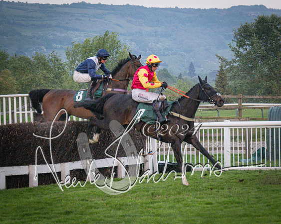 Race - 7 The Royal Gloucester Hussars Open Hunter's steeplechase 2m4f 127y (79 of 210)