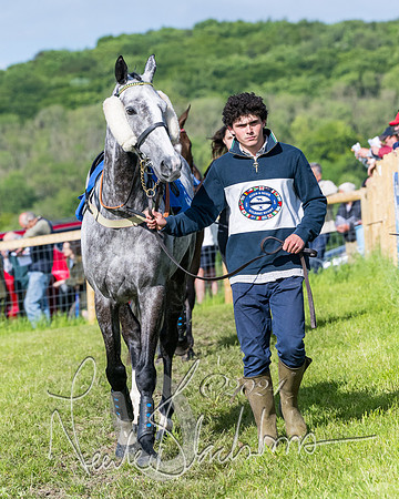 Race 6 - The Maiden  (31 of 448)