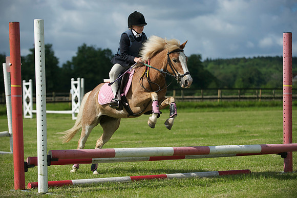 SOHS PC Summer Show at BCA 17th June 2012
