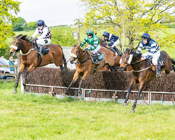 Race 5  - Novice riders (151 of 188)