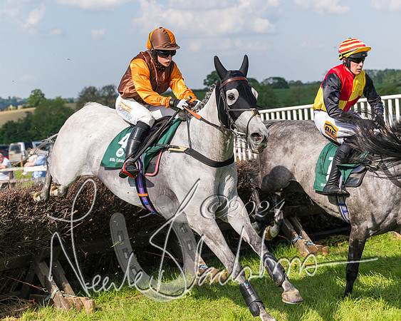 Race 5 - Restricted Race  (141 of 360)