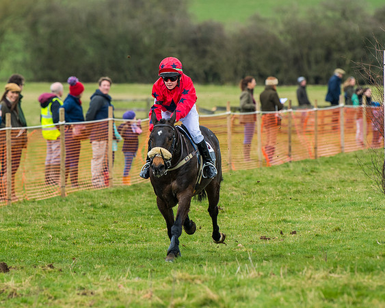 Pony Race 2 (71 of 162)