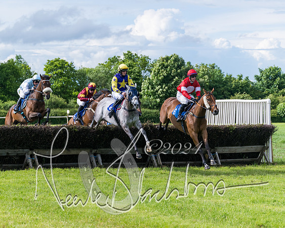 Race 5 - Restricted Race (198 of 434)