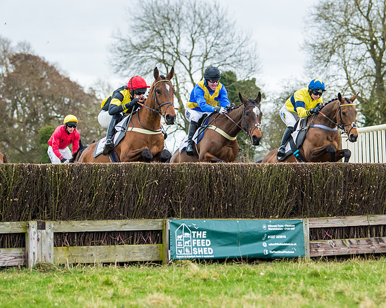 Race 1 - 4&5 Maiden (4 of 66)