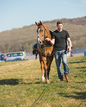 Race 1 Div 1 - 2M4F Maiden (2 of 117).jpg