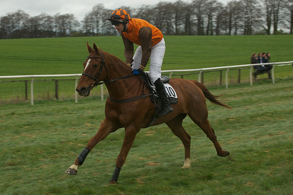Race 2 - Confined 31