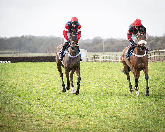 Race 1 - Four and Five year Old Maiden (46 of 137)