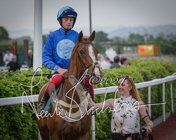 Race 5 - Mares Open Hunter Steeplechase 3m2f 70y (59 of 269)