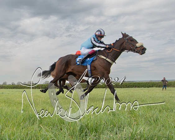 Pony Race 2 (51 of 84)-