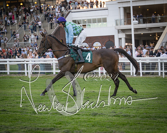 Race - 7 The Royal Gloucester Hussars Open Hunter's steeplechase 2m4f 127y (51 of 210)