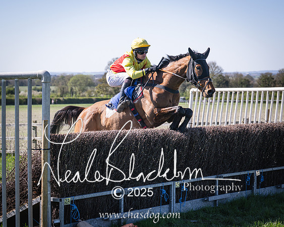 Race 5 - The restricted (66 of 113)