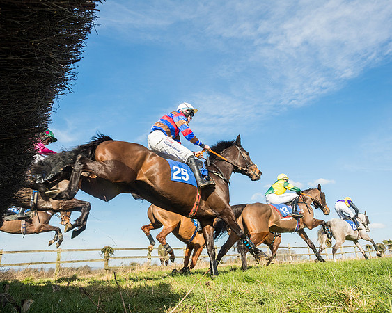 Race 1 - Open Maiden Division 2 (76 of 173)