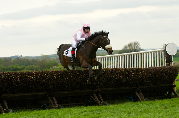 Race 4 - Nov-vets 25