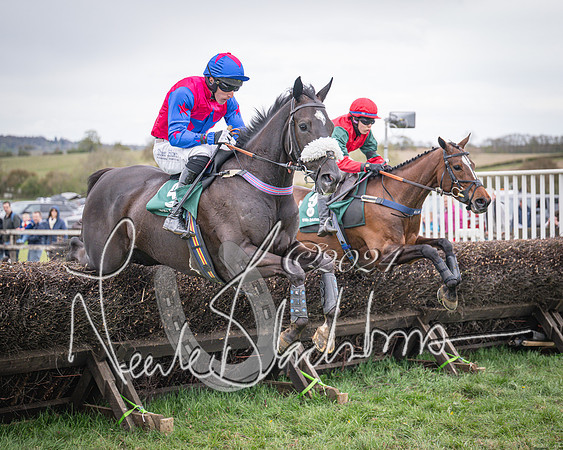 Race 6 - The Restricted Race (56 of 101)