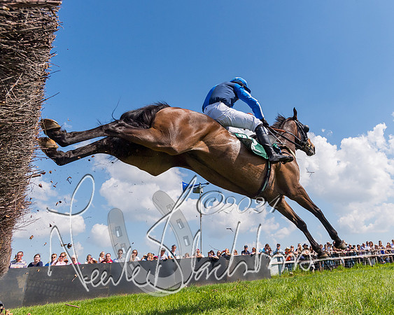 Race 2 - The Maiden  (230 of 442)