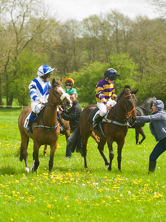 Pony Race - 2    24