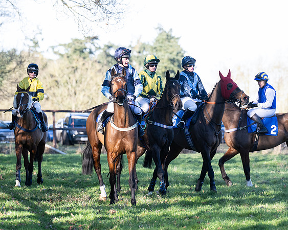 Race 5 - Maiden (25 of 123)