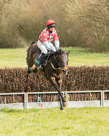 Race 3 - Owner Trainer conditions (36 of 132)