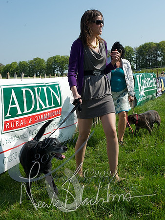 picture-9