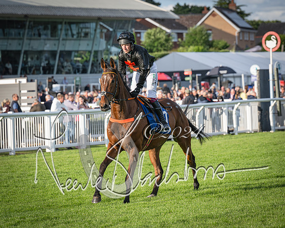 Race 4 - Peretemps Stratford Foxhunters (27 of 168)