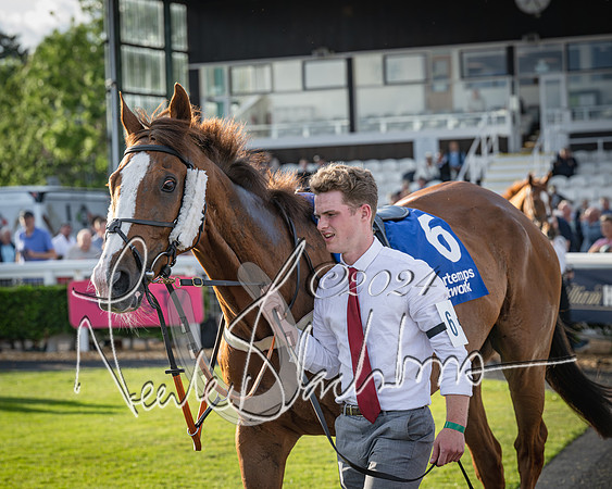 Race 4 - Peretemps Stratford Foxhunters (23 of 168)