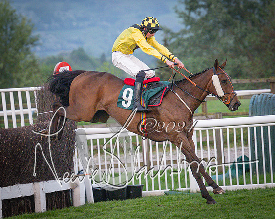 Race - 7 The Royal Gloucester Hussars Open Hunter's steeplechase 2m4f 127y (135 of 210)