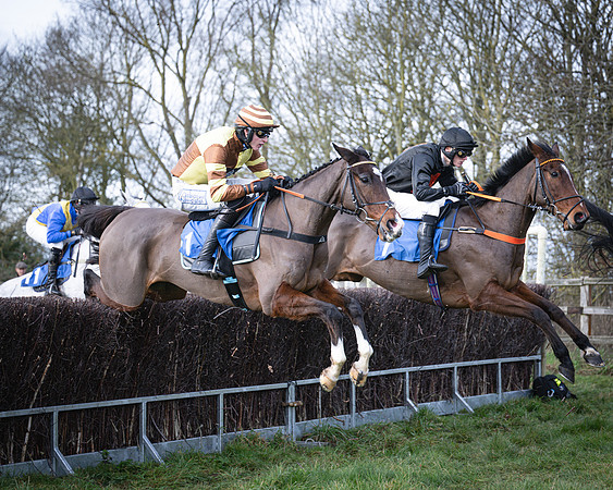 Race 1 - All Is True - Jack Andrews (13 of 38)