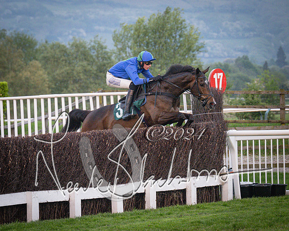 Race - 7 The Royal Gloucester Hussars Open Hunter's steeplechase 2m4f 127y (66 of 210)