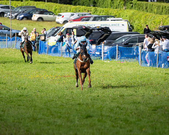 Race 5  - Maiden  (55 of 84)