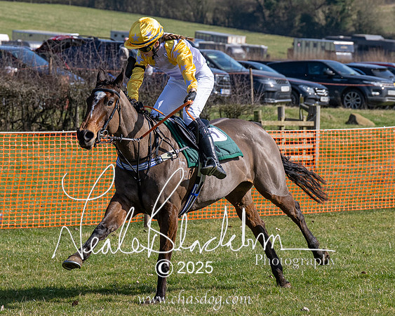 Pony Race 1 - Novice (16 of 38)