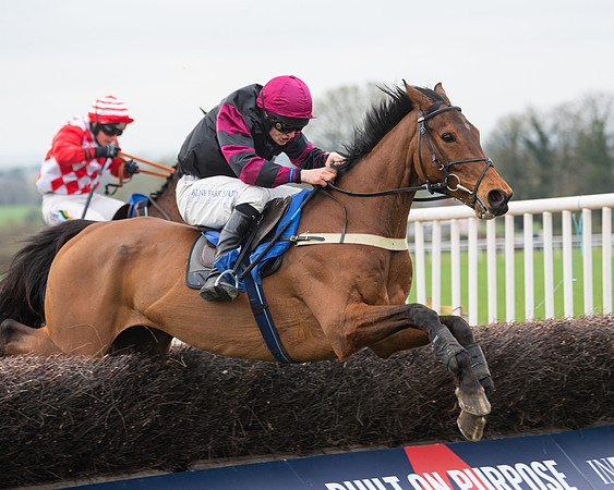 Race 6 - The Restricted Race (131 of 200)