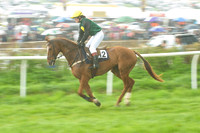 Old Berks at Lockinge PPORA novice and veteran riders race