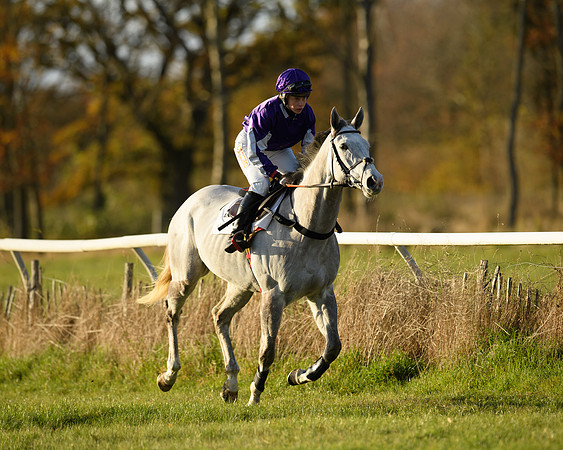 Race 5 - Maiden Race  (2 of 66)