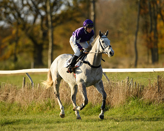 Race 5 - Maiden Race  (3 of 66)