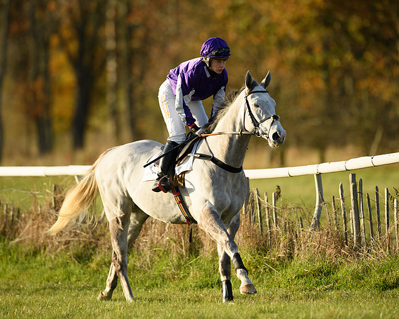Race 5 - Maiden Race  (4 of 66)
