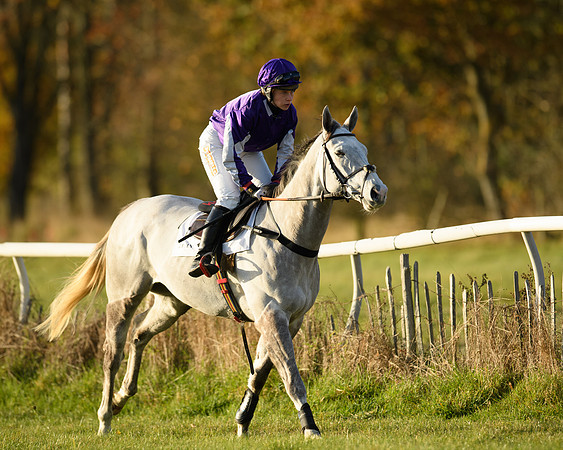 Race 5 - Maiden Race  (5 of 66)