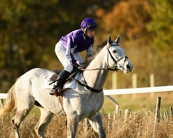Race 5 - Maiden Race  (6 of 66)
