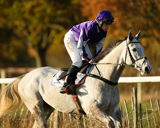 Race 5 - Maiden Race  (7 of 66)