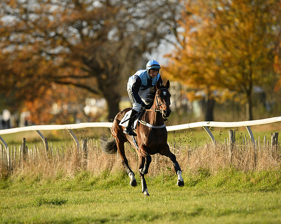 Race 5 - Maiden Race  (8 of 66)
