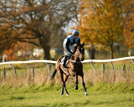 Race 5 - Maiden Race  (9 of 66)
