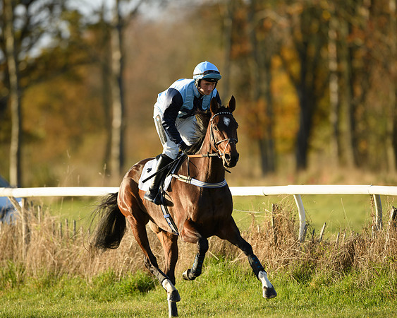 Race 5 - Maiden Race  (10 of 66)