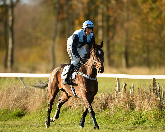Race 5 - Maiden Race  (12 of 66)