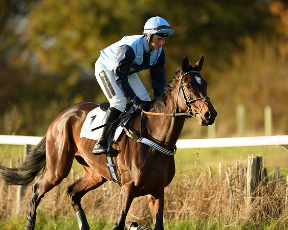 Race 5 - Maiden Race  (13 of 66)