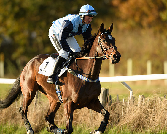 Race 5 - Maiden Race  (14 of 66)