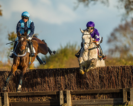 Race 5 - Maiden Race  (21 of 66)