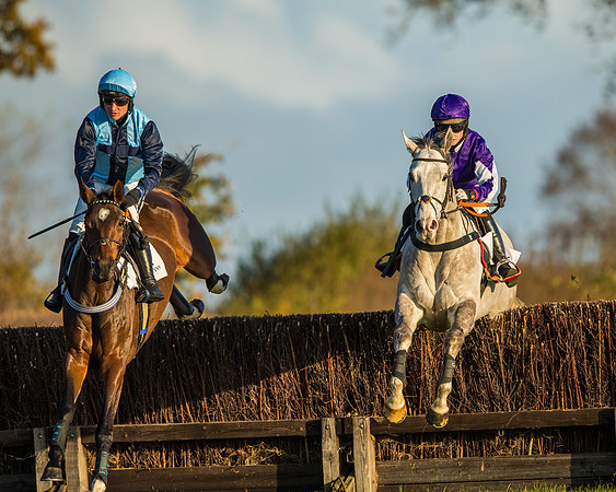 Race 5 - Maiden Race  (22 of 66)