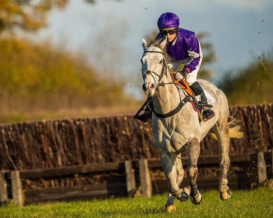 Race 5 - Maiden Race  (23 of 66)